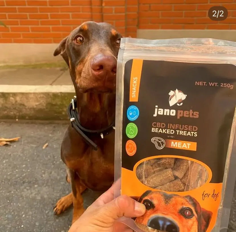 JANO PETS CalmaYa: Galletas anti-estrés para perros